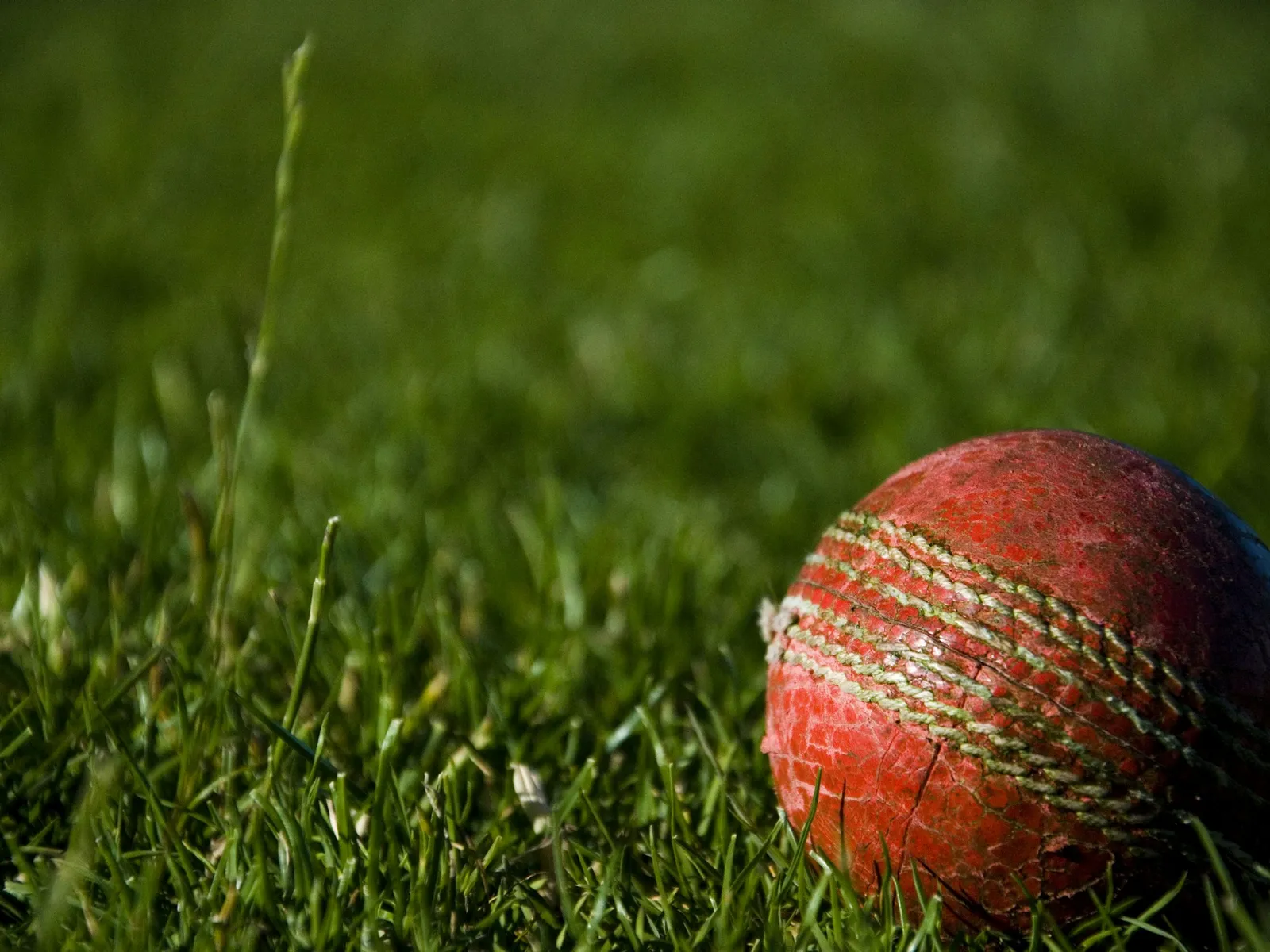 A worn red cricket ball resting in long grass